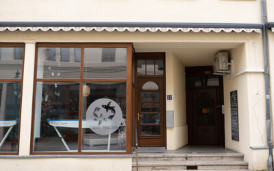 tapio. tea bar